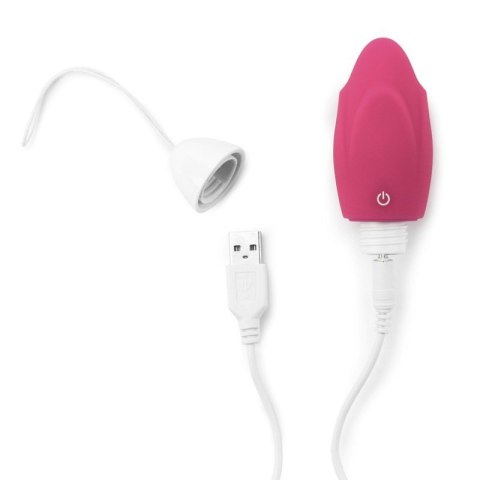 IJOY Wireless Remote Control Rechargeable Egg Boss of toys