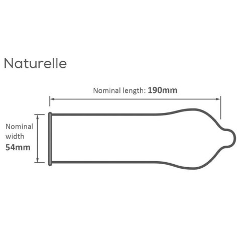 Pasante Naturelle Condoms Bulk Packs 144 pcs Boss of toys
