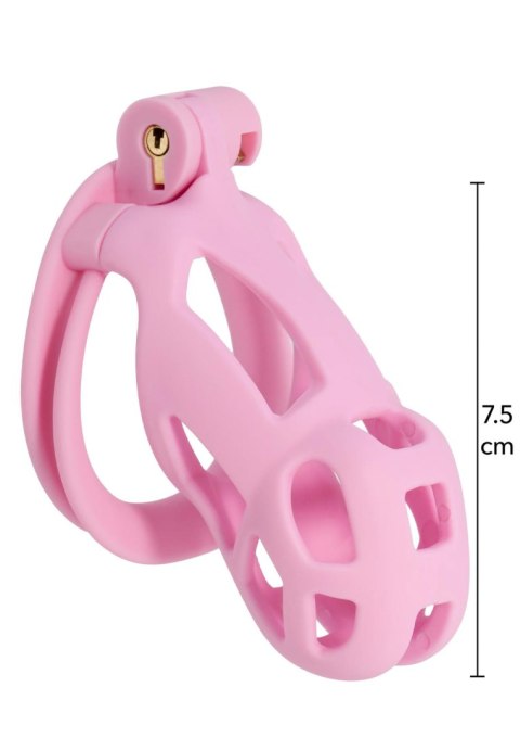 Penis Prison Cock Cage Regular Pink SCALA