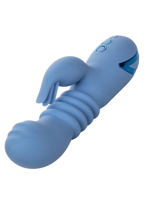 Santa Cruz Coaster Blue SCALA