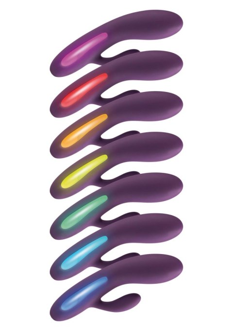 Splendor Rabbit Purple SCALA
