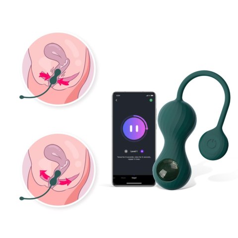 Magic Motion - Crystal Duo Smart Kegel Vibrator with Weight Set Eropartner - INTERSLASH B.V.