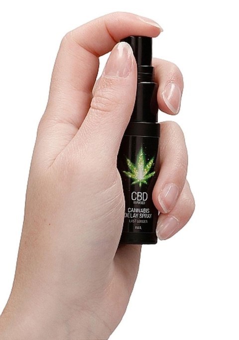 Spray opóźniający CBD Cannabis Pharmquests 15 ml Pharmquests