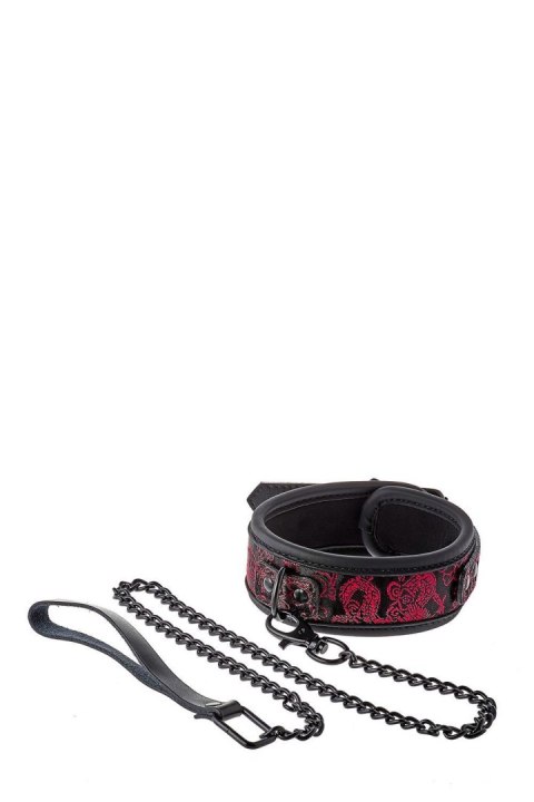 BLAZE DELUXE COLLAR & LEASH TONGA