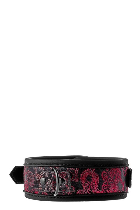 BLAZE DELUXE COLLAR & LEASH TONGA