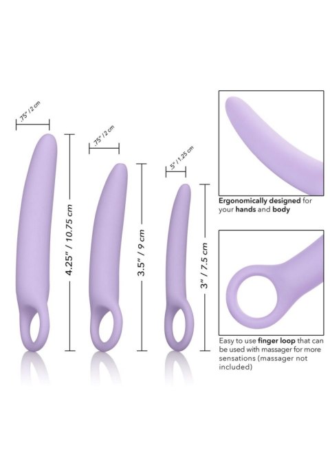 Alena Set of 3 Dilators Purple SCALA