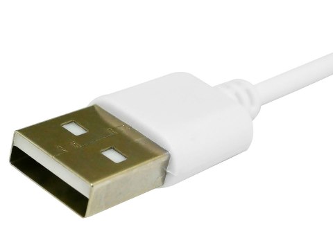 Kabel ładujący do Smartwatcha GIEWONT GW510 7,3 mm GWK2 Giewont