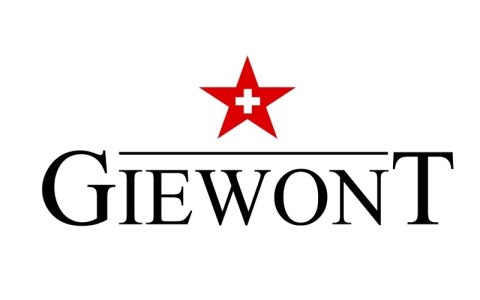 Słuchawki bezprzewodowe GIEWONT RealSound PRO ANC ENC GWS800-2 Białe Giewont