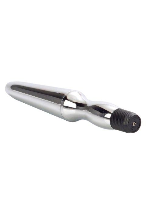 Wibrator analny wodoodporny Calexotics srebrny 16.5 cm CalExotics