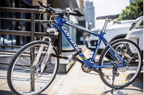 ZAPIĘCIE BLOKADA ROWEROWA ŁAŃCUCH DO ROWERU Fortrade