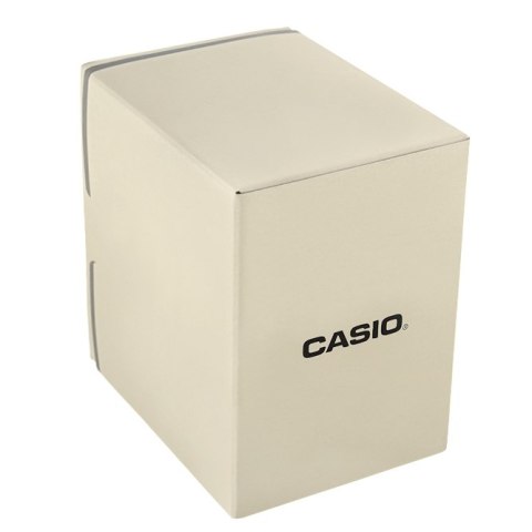 Zegarek CASIO MQ-24-1BLLEG CASIO
