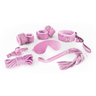 CRUSHIOUS DUNGEONS & MAIDENS BDSM KIT PINK Crushious - Lunyvan S.L.
