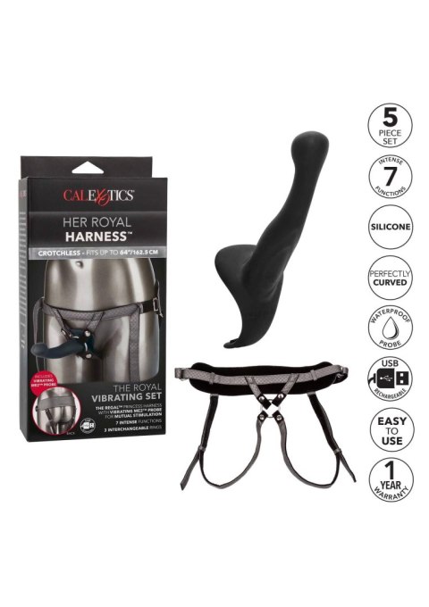 The Royal Vibrating Set Grey SCALA