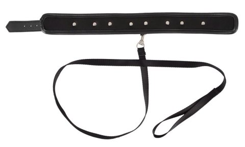 Collar vegan ORION