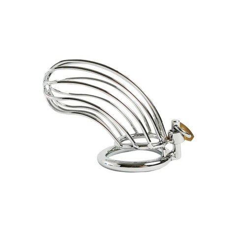 Cock cage made of 100% stainless steel Fantasy - Boys of Toys Sp. z. o.o. (dystrybutor)