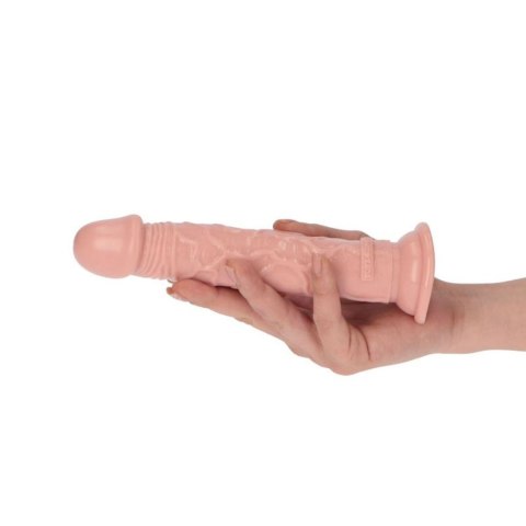 Dildo realistyczne Toyz4lovers z przyssawką naturalne 16 5 cm Toyz4lovers