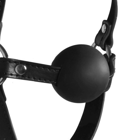 Blindfolded Head Harness with Solid Ball Gag - Black SHOTS