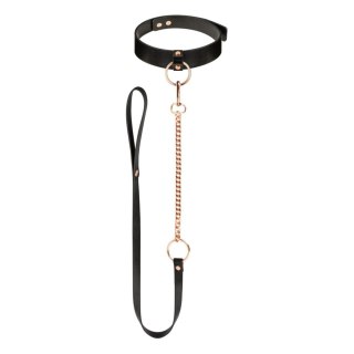 Rosy Gold - Collar with Leash - Black ONE-DC B.V.