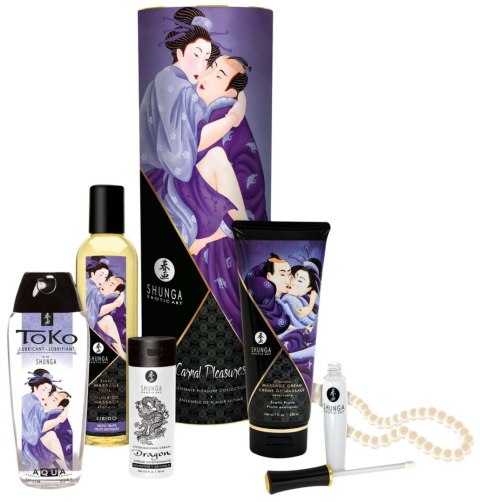 Carnal Pleasures Kit Shunga - EAU ZONE