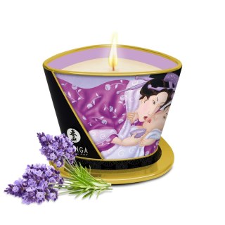 Massage Candle Fragrances Lavender Shunga - EAU ZONE
