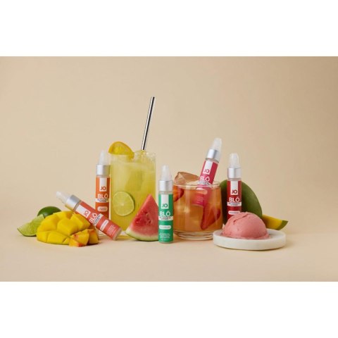 System JO - BLO Strawberry Eropartner - INTERSLASH B.V.