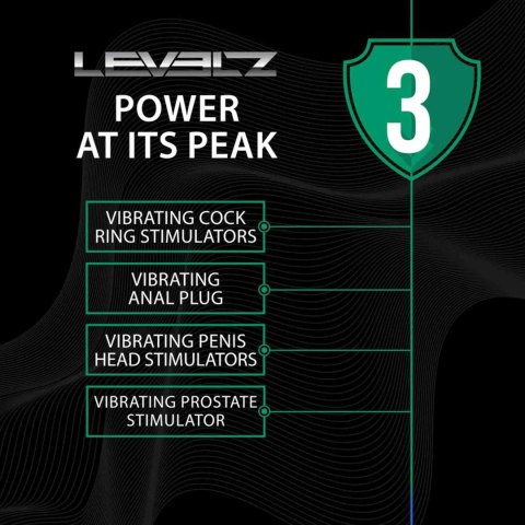 Stymulator prostaty Levelz silikonowy z pilotem czarny USB Levelz