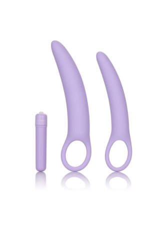 Isabelle Set of 2 Dilators Purple CalExotics