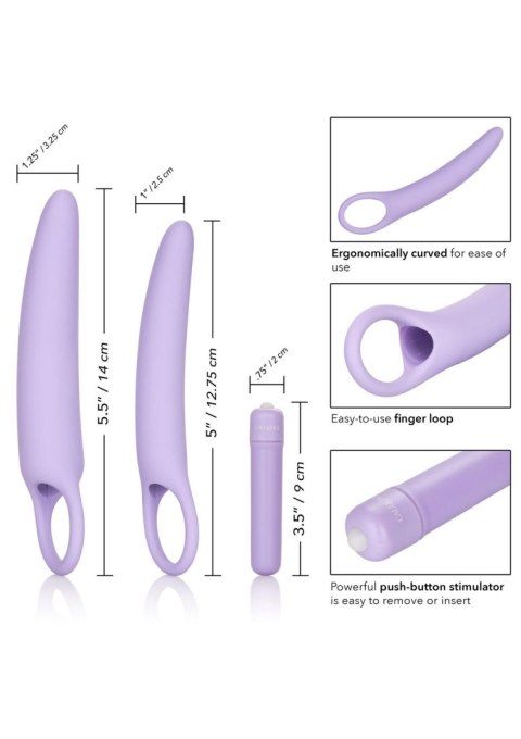 Isabelle Set of 2 Dilators Purple CalExotics