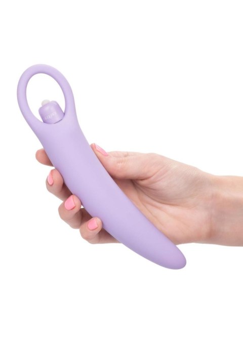 Isabelle Set of 2 Dilators Purple CalExotics
