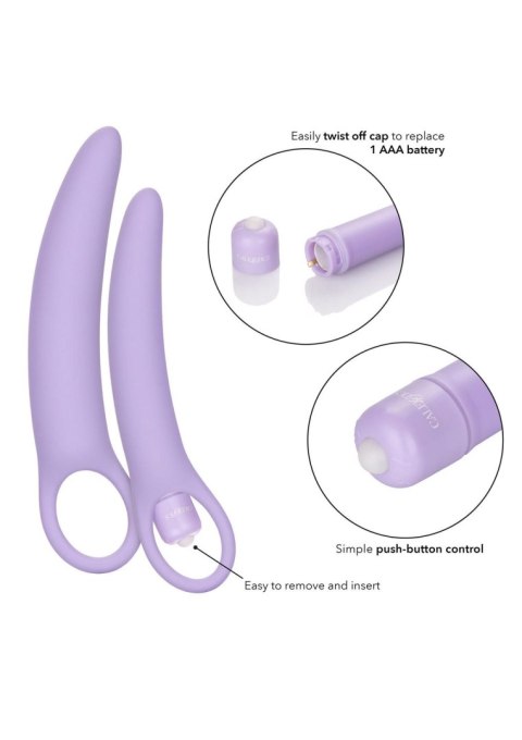 Isabelle Set of 2 Dilators Purple CalExotics