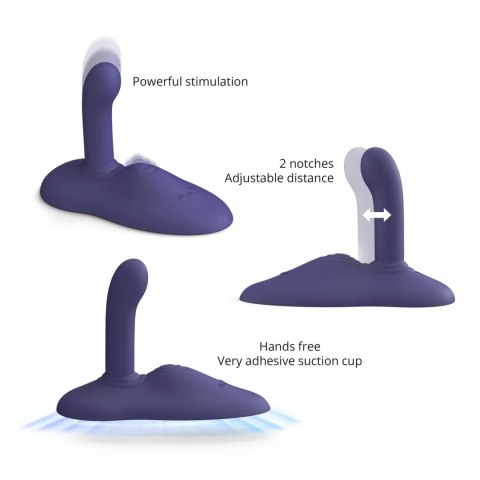GOFAST - MIDNIGHT INDIGO DORCELl - Lovely Planet