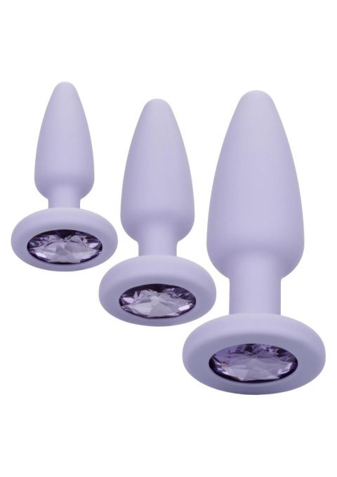 Zestaw korków analnych Crystal Booty Calexotics fioletowy CalExotics