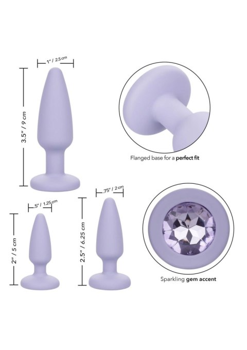 Zestaw korków analnych Crystal Booty Calexotics fioletowy CalExotics
