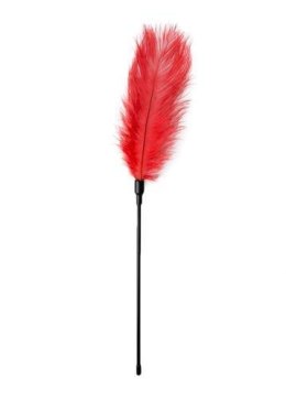 Pejcz-Red Feather Tickler Boss of toys