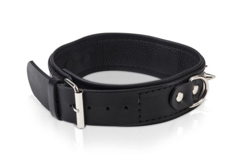 Wiązania-WHIPS obroża męska z półkółkami i smyczą Boss of toys