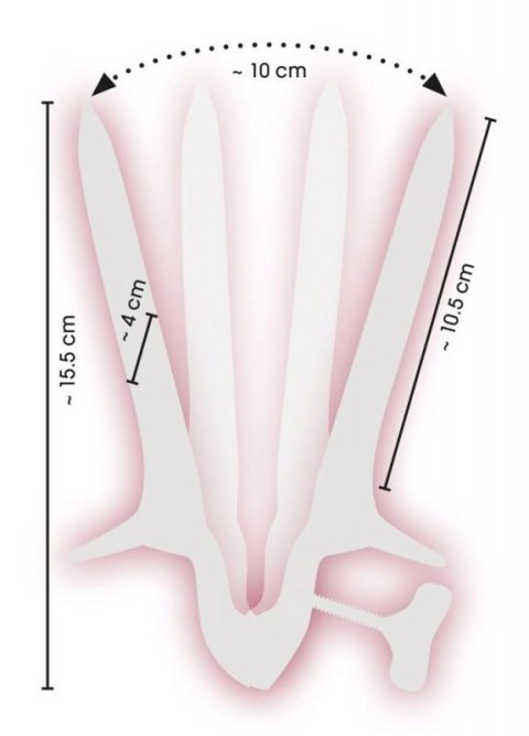 Vaginal Speculum Boss of toys