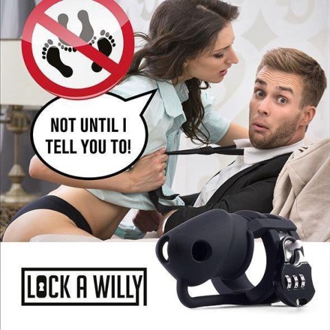 Lock-a-Willy Boss of toys