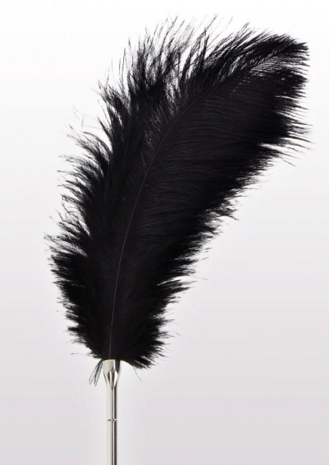 Feather Tickler Black Boss of toys