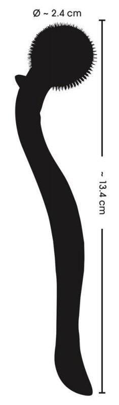 Fetish Collection Micro Pinwhe Boss of toys