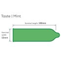Pasante Mint Tingle Condoms Bulk Packs 144 psc Boss of toys