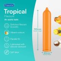 Pasante Tropical Condoms Bulk Packs 144 pcs Boss of toys