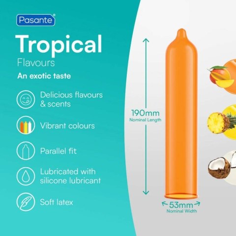 Pasante Tropical Condoms Bulk Packs 144 pcs Boss of toys