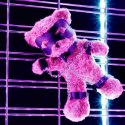 CRUSHIOUS CRUSHITO BONDAGE TEDDY BEAR BLACK 31CM Boss of toys
