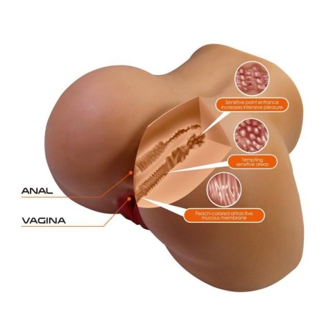 Crazy Bull Briony Realistic Vagina & Anal Masturbator with Vibrations - Brown Boss of toys