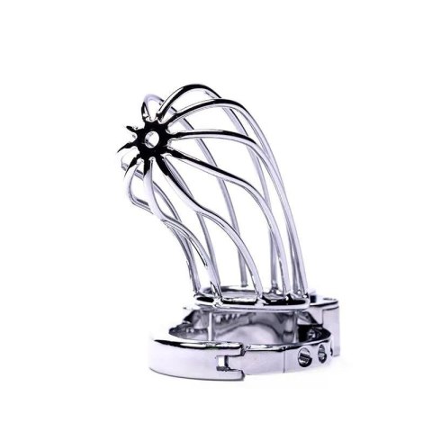 Stainless Steel Penis Cage 2 with Advanced Locking Mechanism Boss of toys