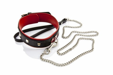 Ćwiekowana obroża skórzana ze smyczą damska bdsm Whips Collection