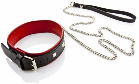 Ćwiekowana obroża skórzana ze smyczą damska bdsm Whips Collection