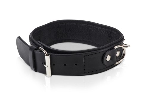 Zestaw smycz obroża skóra naturalna ćwieki whips Whips Collection