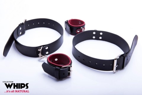 Kajdanki - WHIPS Kajdanki na uda damskie Whips Collection