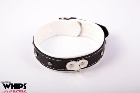 Wiązania - Obroża damska 4 cm, biała Whips Collection